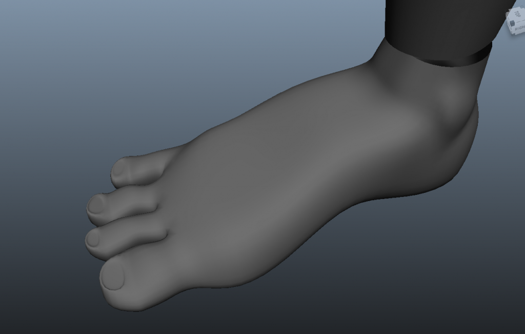 Zoe's foot without texture.
